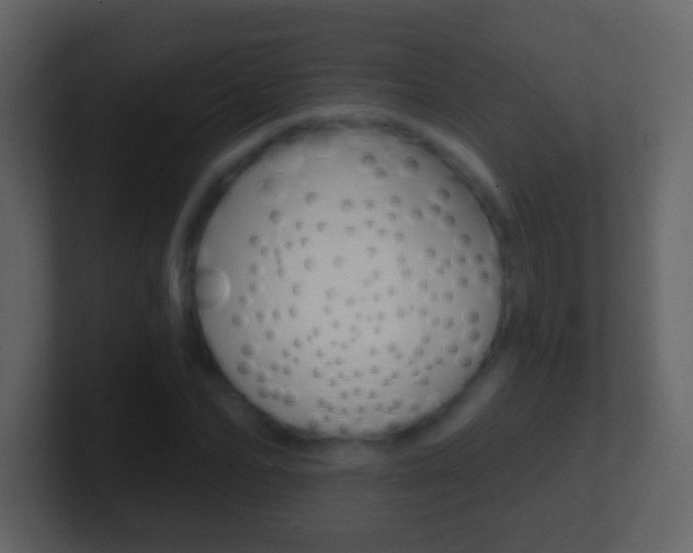 X0000101450974200807071107