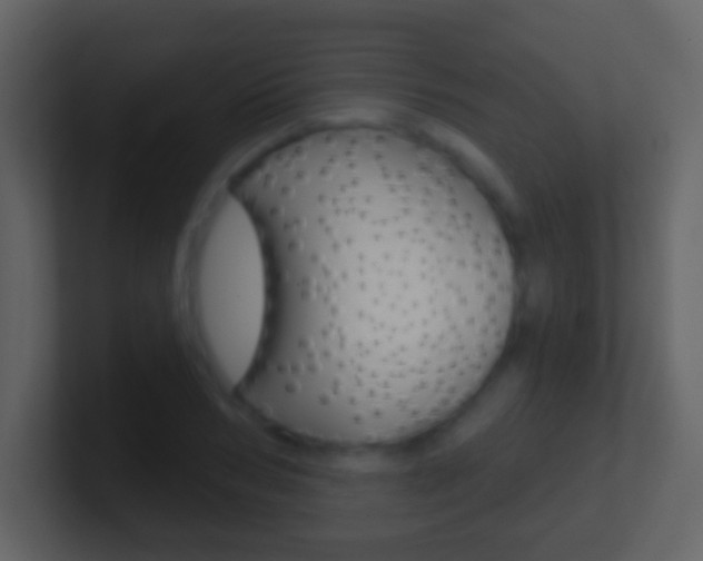 X0000101450978200807071107