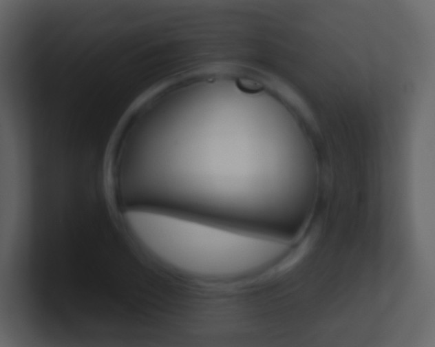 X0000101450981200807071107