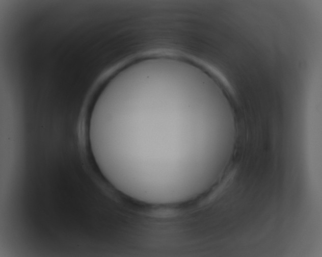 X0000101450982200807071107