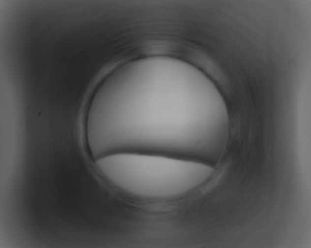 X0000101450986200807071107