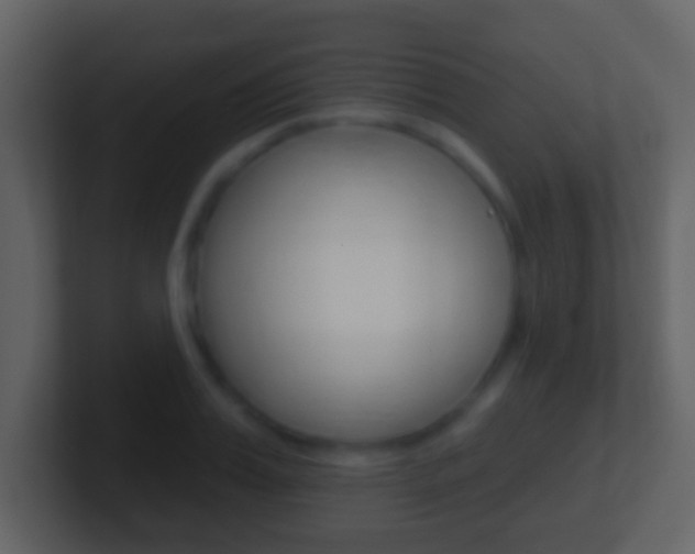 X0000101450987200807071107
