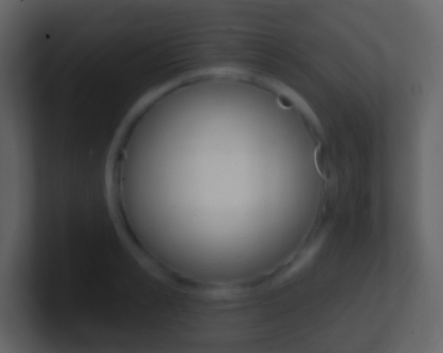 X0000101450989200807071107