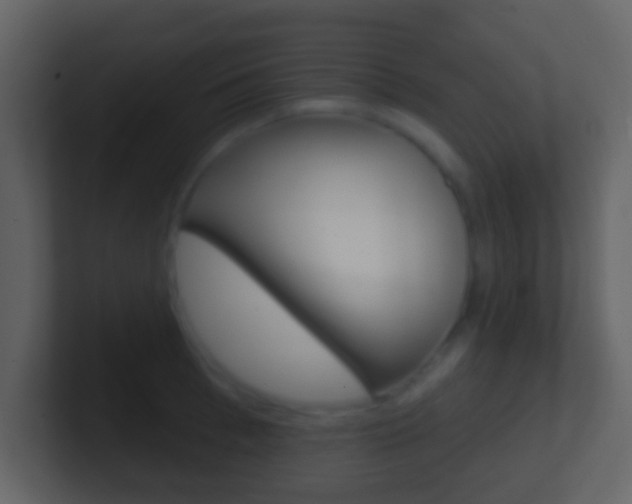 X0000101450993200807071107