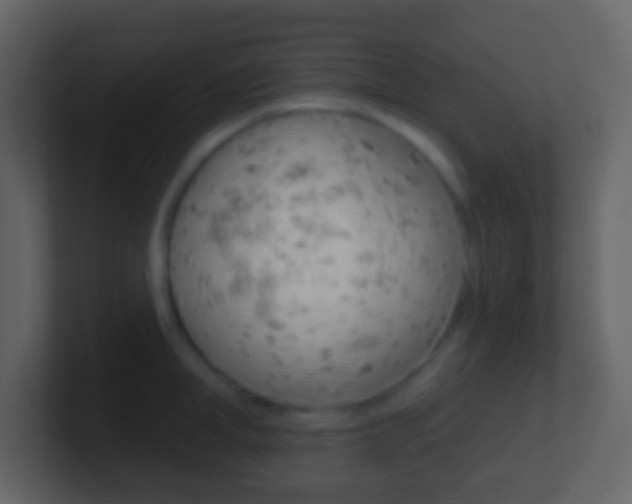 X0000101450998200807071107