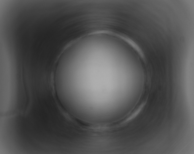 X0000101451001200807071107