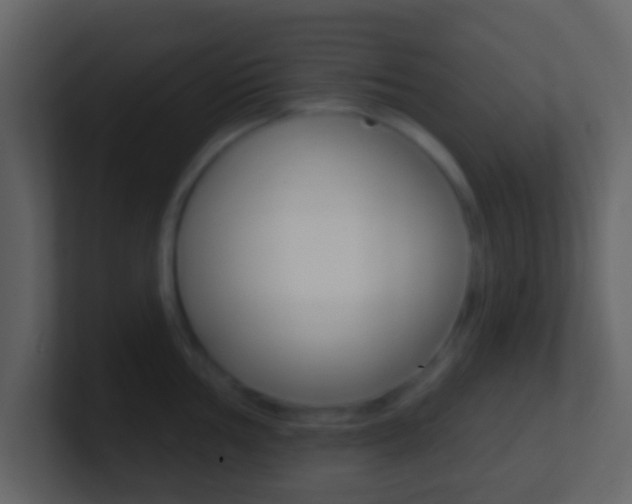 X0000101451002200807071107