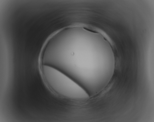 X0000101451003200807071107