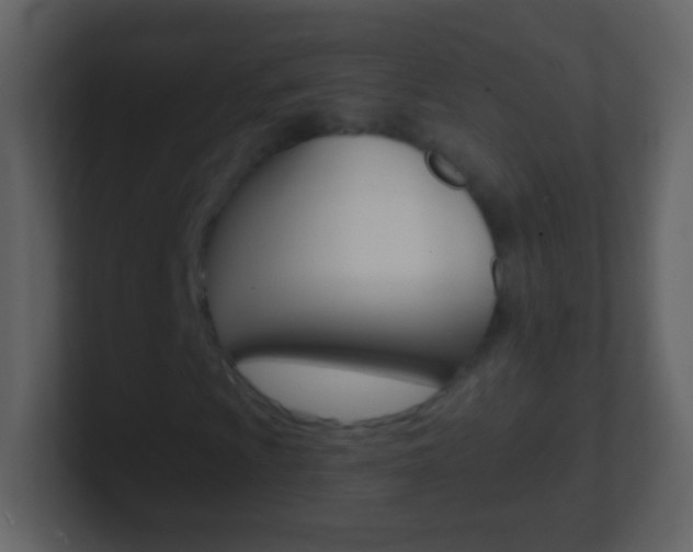 X0000101451009200807071106