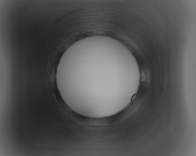 X0000101451011200807071106