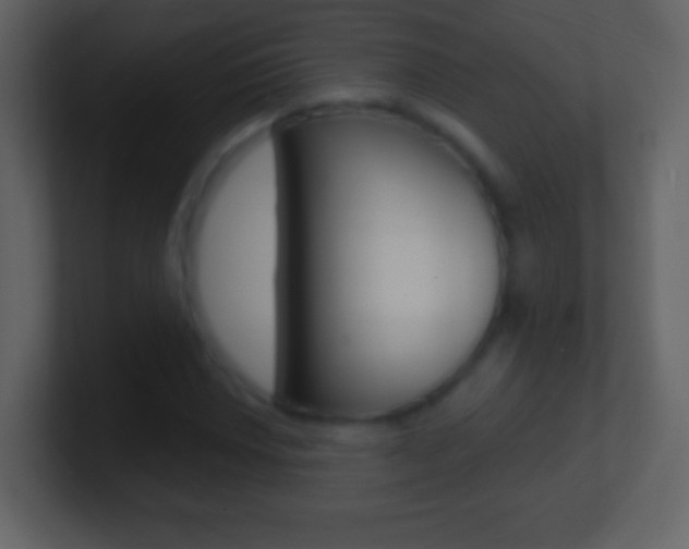 X0000101451018200807071106