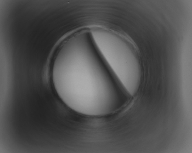 X0000101451020200807071106