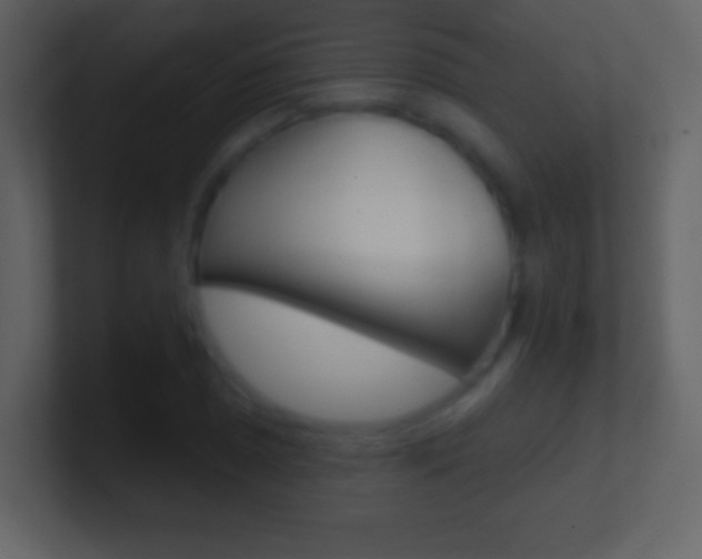 X0000101451025200807071106