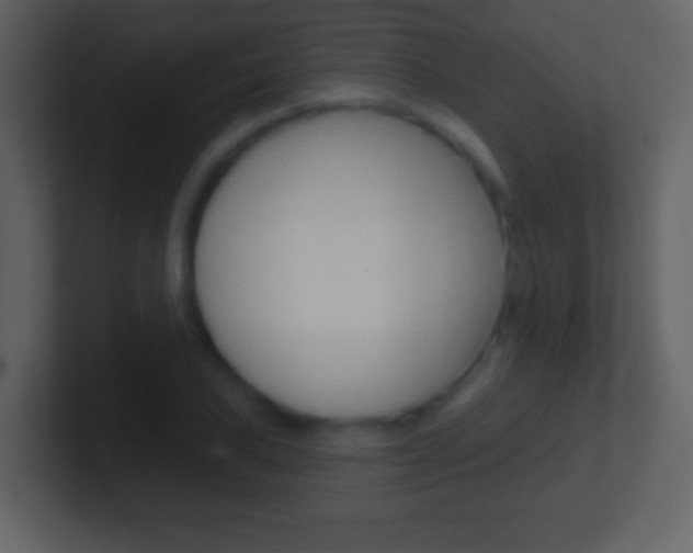 X0000101451027200807071106