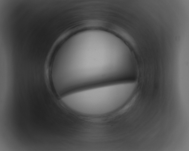 X0000101451029200807071106