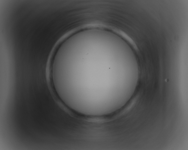 X0000101451037200807071106