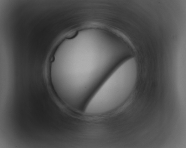 X0000101451038200807071107