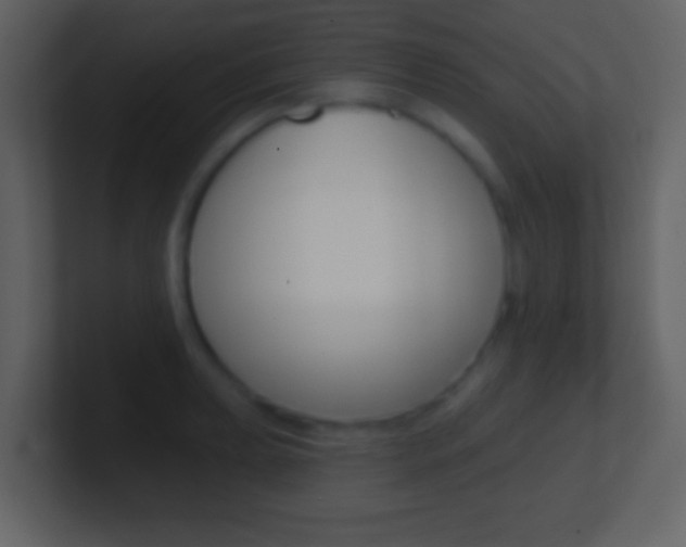 X0000101451039200807071107