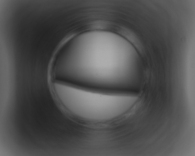 X0000101451042200807071107