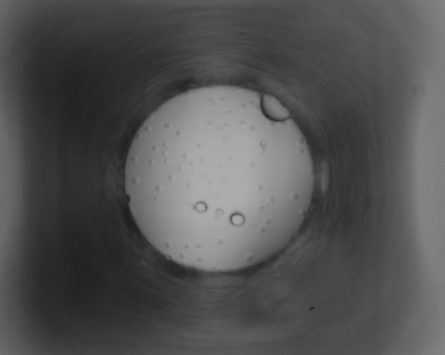 X0000101451059200807071106