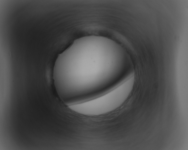 X0000101451060200807071106
