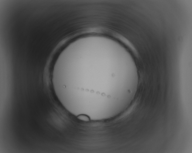 X0000101451067200807071106