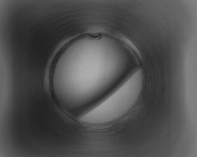 X0000101451068200807071106