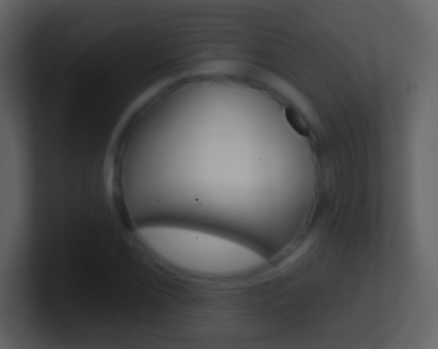 X0000101451069200807071106