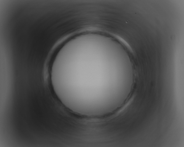 X0000101451070200807071106