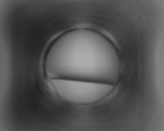 X0000101451071200807071106