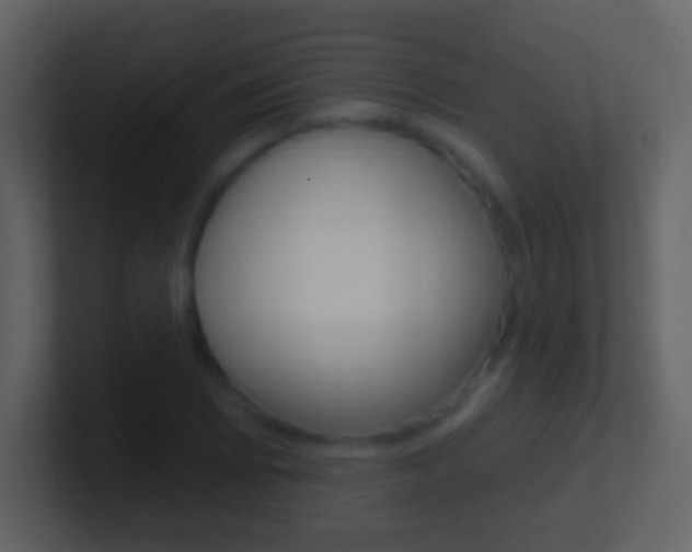 X0000101451073200807071106