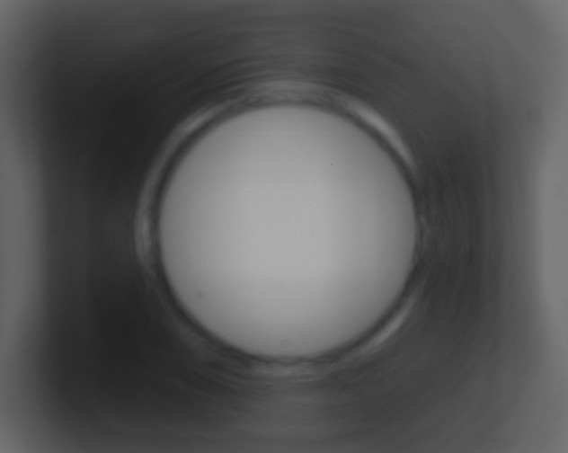 X0000101451074200807071106