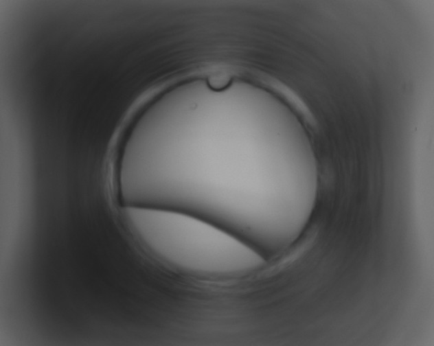 X0000101451075200807071106