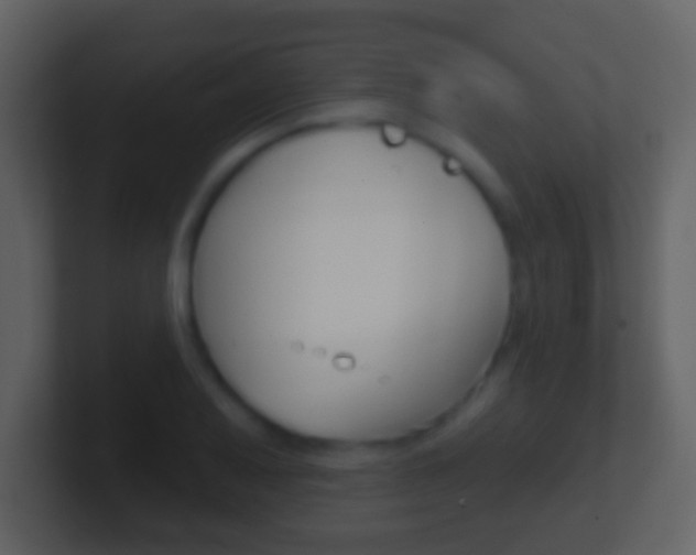 X0000101451079200807071106