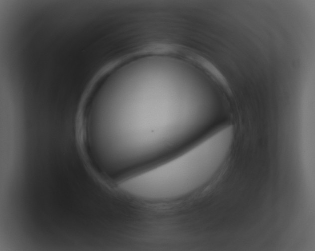 X0000101451080200807071106