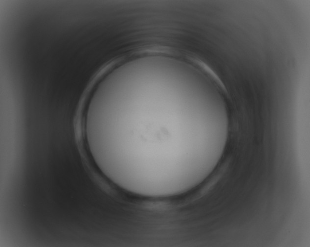 X0000101451082200807071106