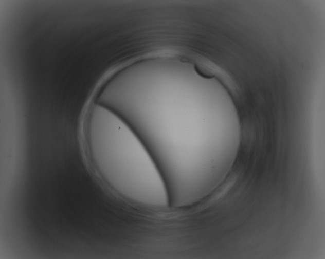 X0000101451083200807071106