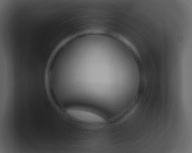 X0000101451085200807071106