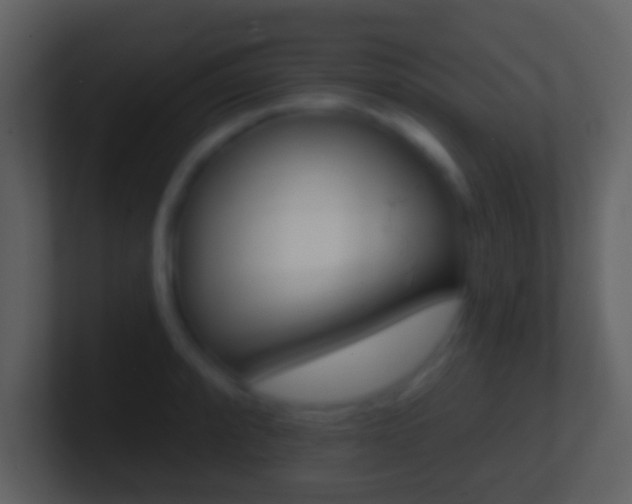X0000101451088200807071106