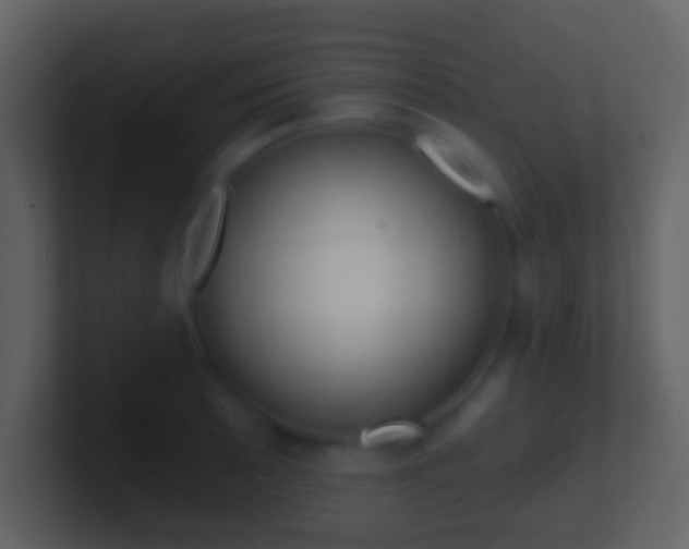 X0000101451089200807071106
