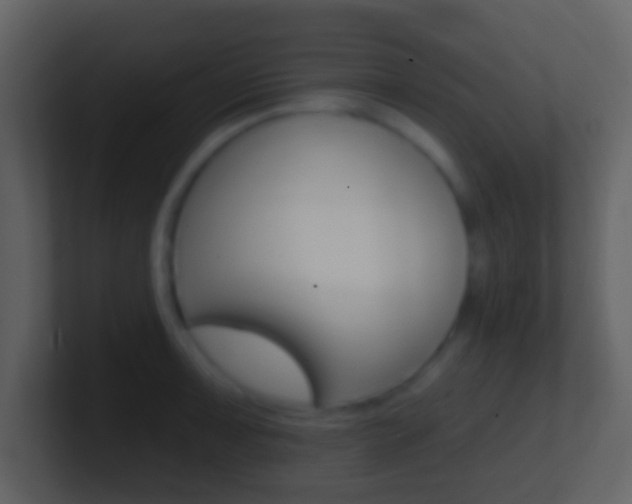 X0000101451091200807071106