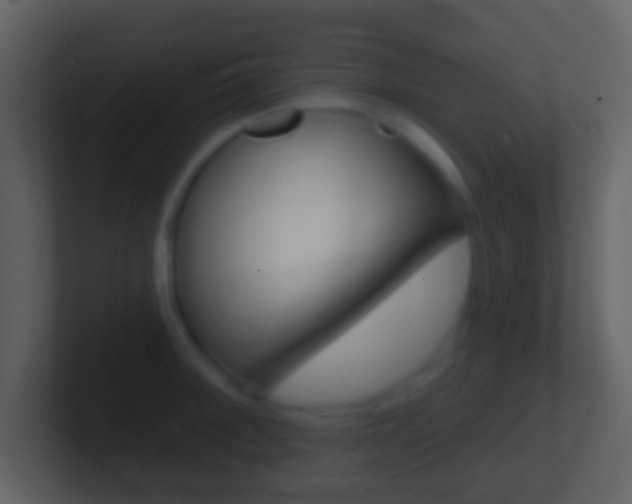 X0000101451092200807071106