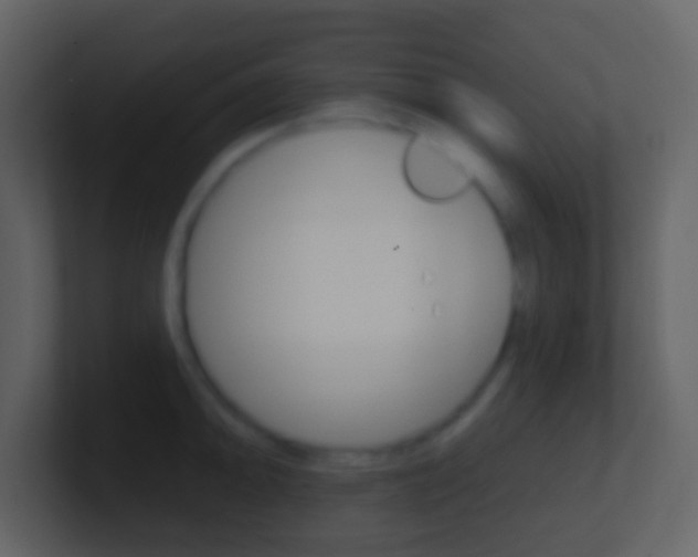 X0000101451094200807071106