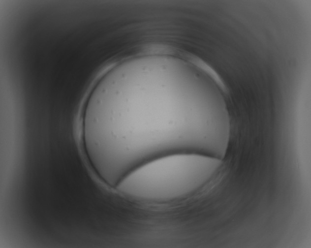 X0000101451095200807071106