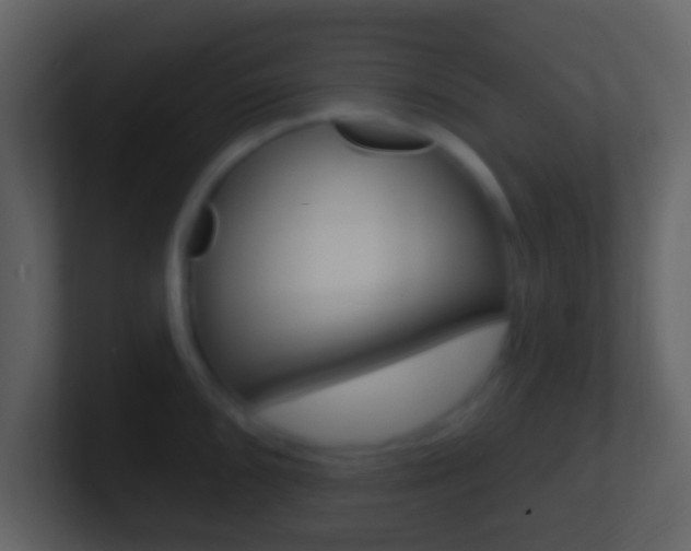 X0000101451096200807071106