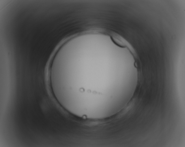 X0000101451099200807071106