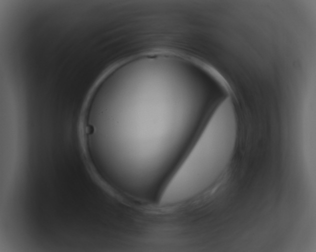 X0000101451100200807071106