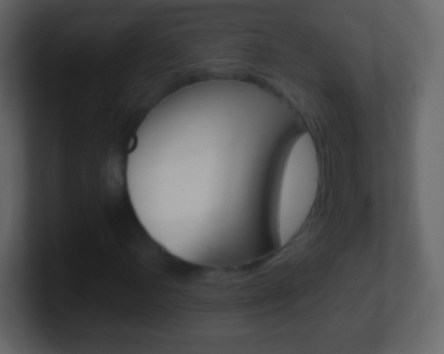 X0000101451107200807071105