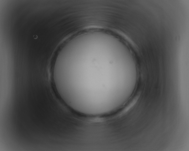 X0000101451113200807071105