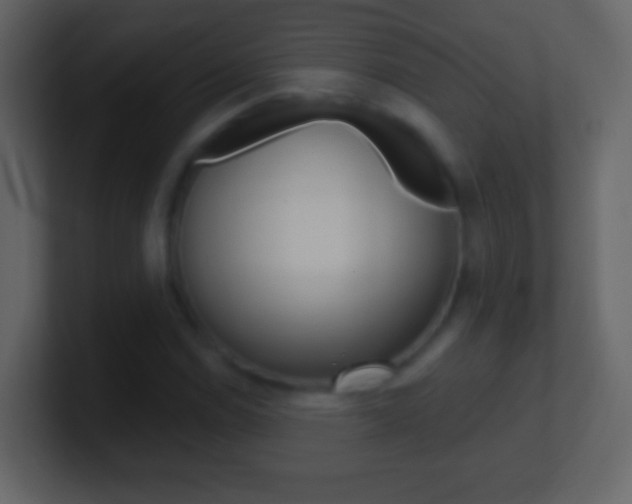 X0000101451114200807071105